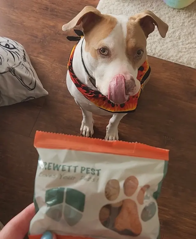 Customer photo from Janna's review