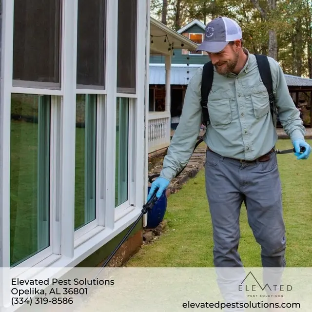 Elevated Pest Solutions — photo from the business 11