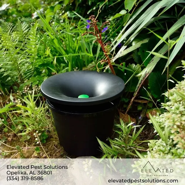 Elevated Pest Solutions — photo from the business 8