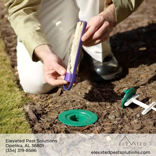 Elevated Pest Solutions — photo from the business 5