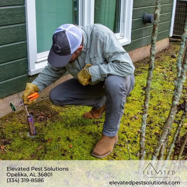Elevated Pest Solutions — photo from the business 6