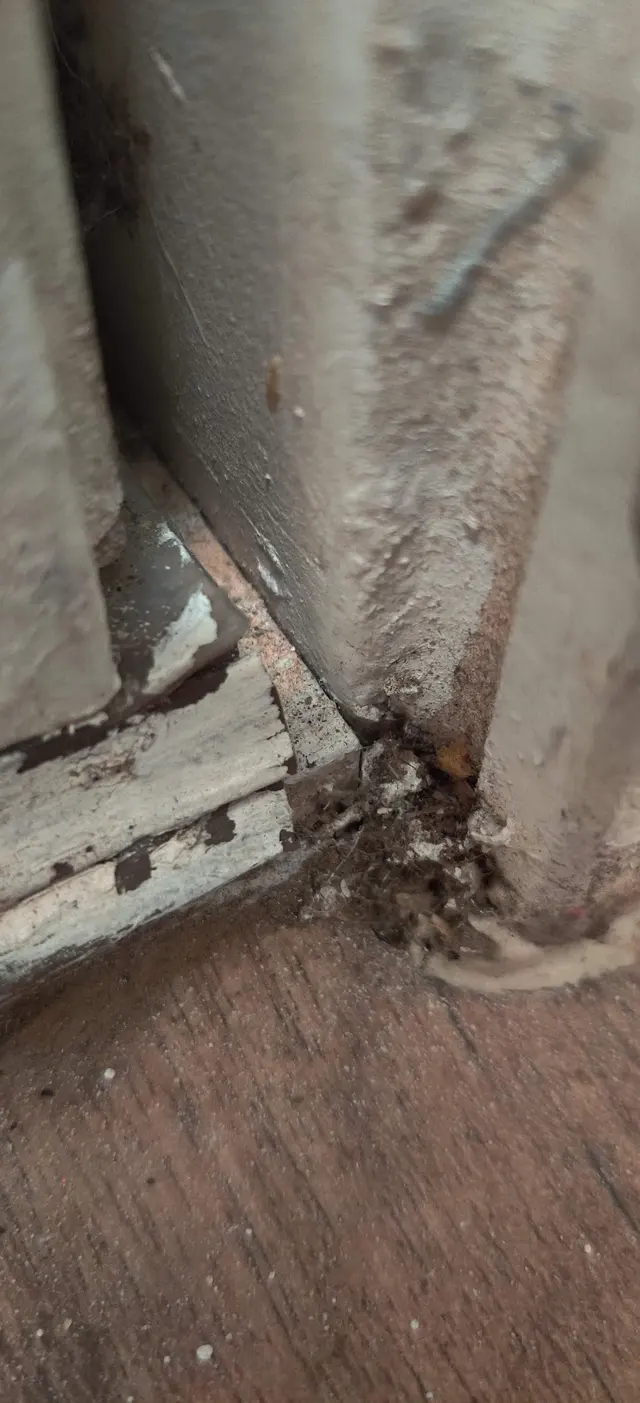 Northwest Exterminating - Opelika — customer photo 12