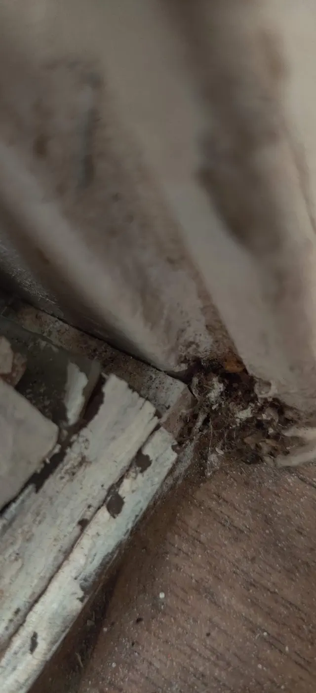 Northwest Exterminating - Opelika — customer photo 11