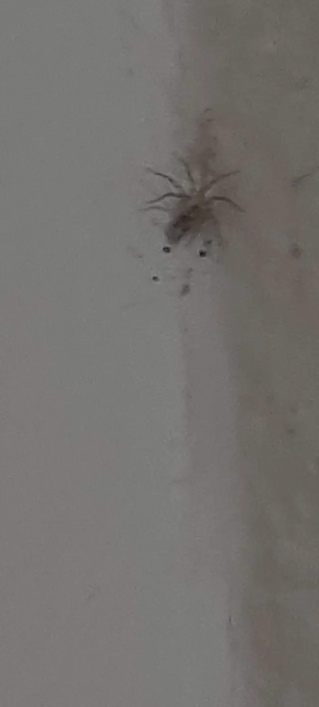 Northwest Exterminating - Opelika — customer photo 8
