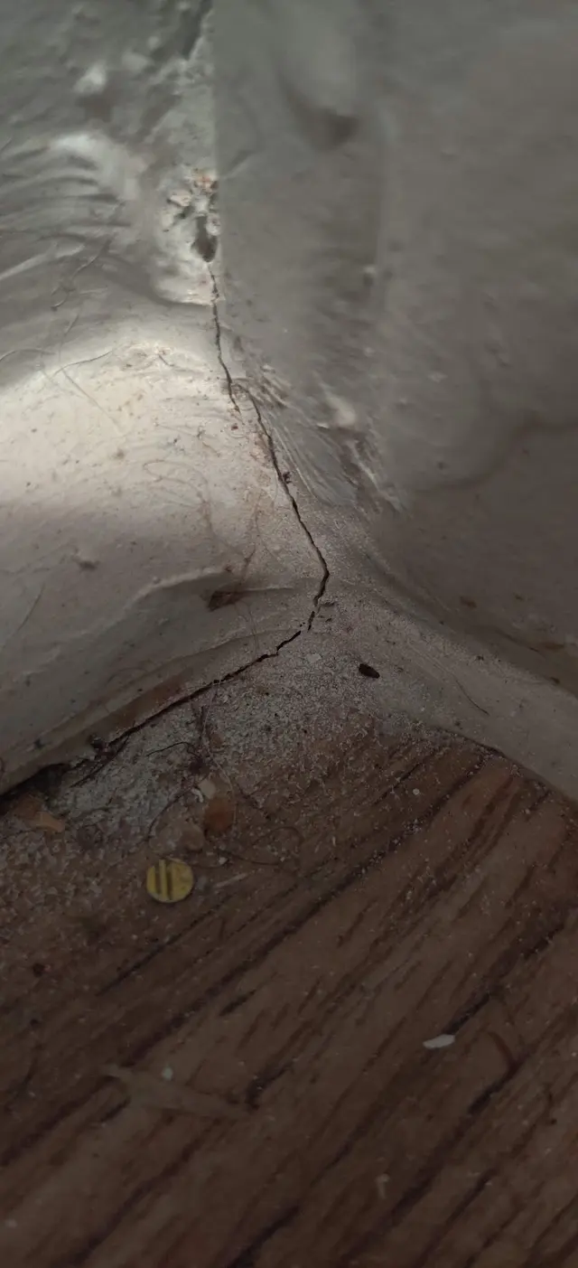 Northwest Exterminating - Opelika — customer photo 5