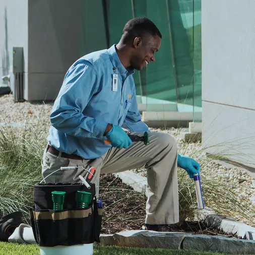Cook's Pest Control — photo from the business 6