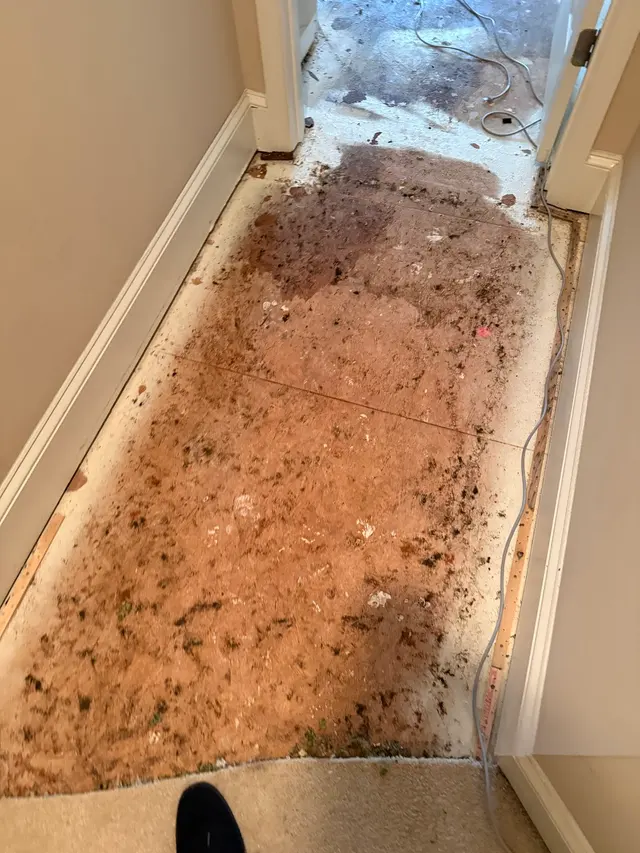 Customer photo of work by DMWRIGHT SOLUTIONS, LLC, from Harold Lewis's review