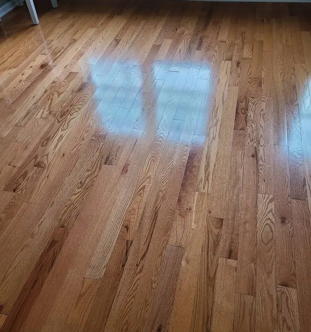 Clean American Houses — customer photo 5