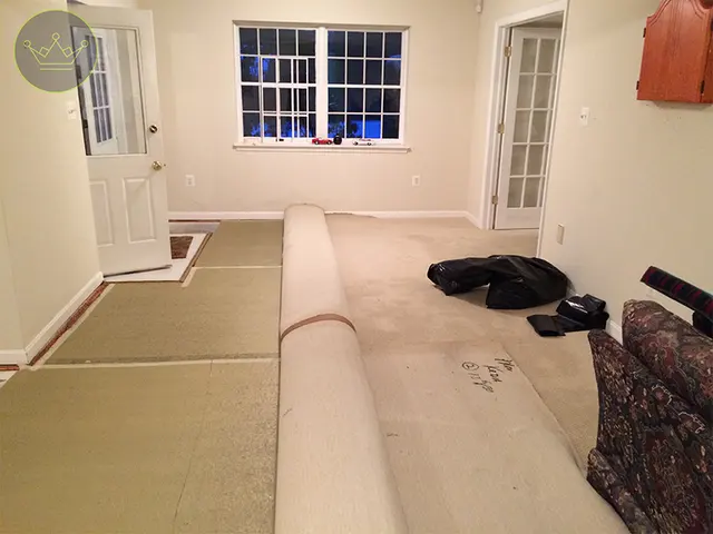 Tulip Carpet Cleaning of Hoboken — photo from the business 11
