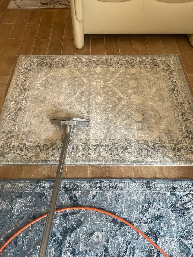 Tulip Carpet Cleaning of Hoboken — photo from the business 6