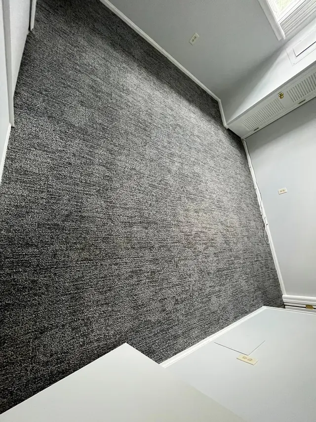 Tulip Carpet Cleaning of Hoboken — photo from the business 1