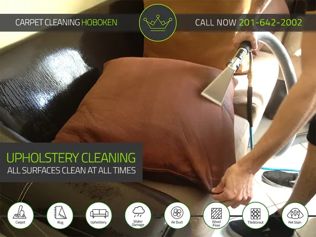 Tulip Carpet Cleaning of Hoboken — photo from the business 9