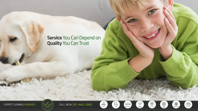 Tulip Carpet Cleaning of Hoboken — photo from the business 8