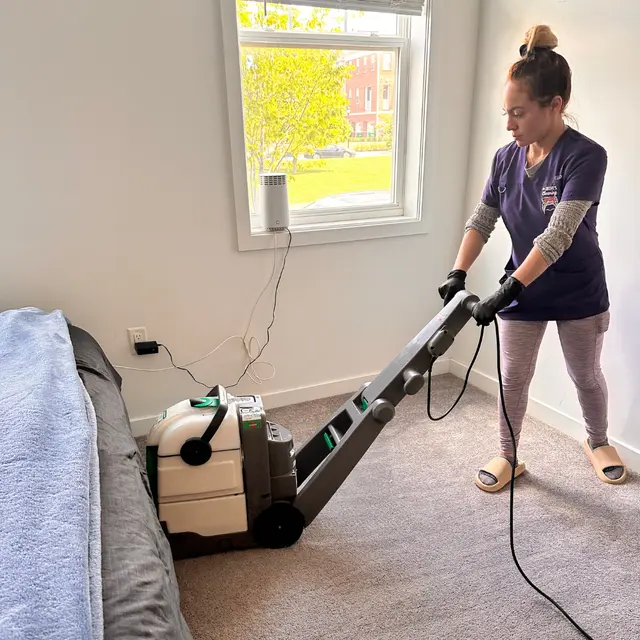 Irene's cleaning — photo from the business 5