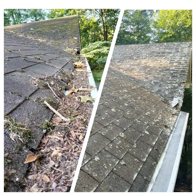 New Jersey Window & Gutter Cleaning — photo from the business 1