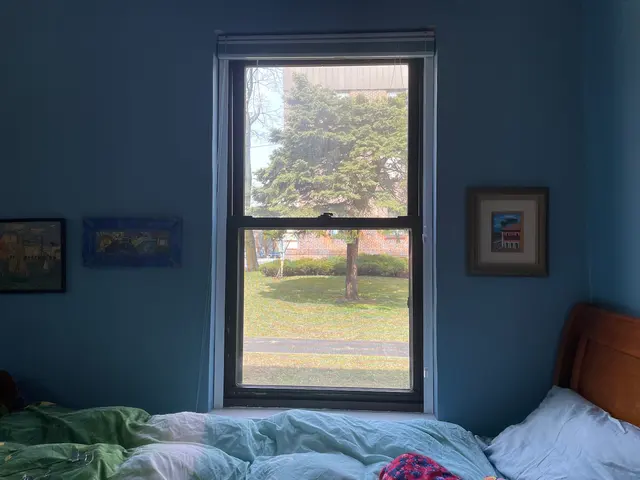 Bohemia Window Cleaning — customer photo 6