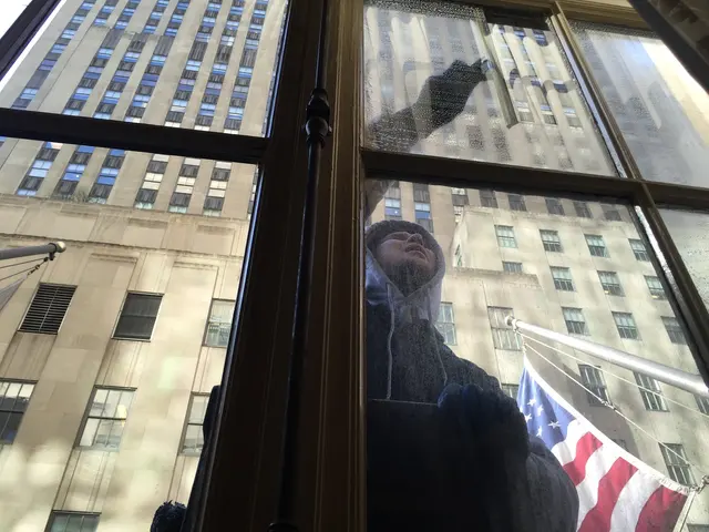 Bohemia Window Cleaning — customer photo 5