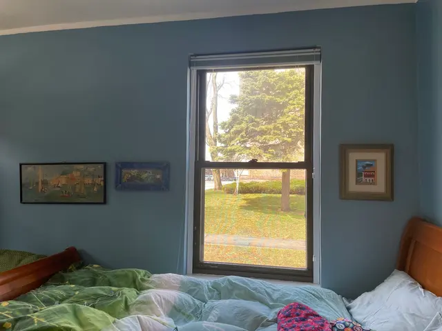 Bohemia Window Cleaning — customer photo 7