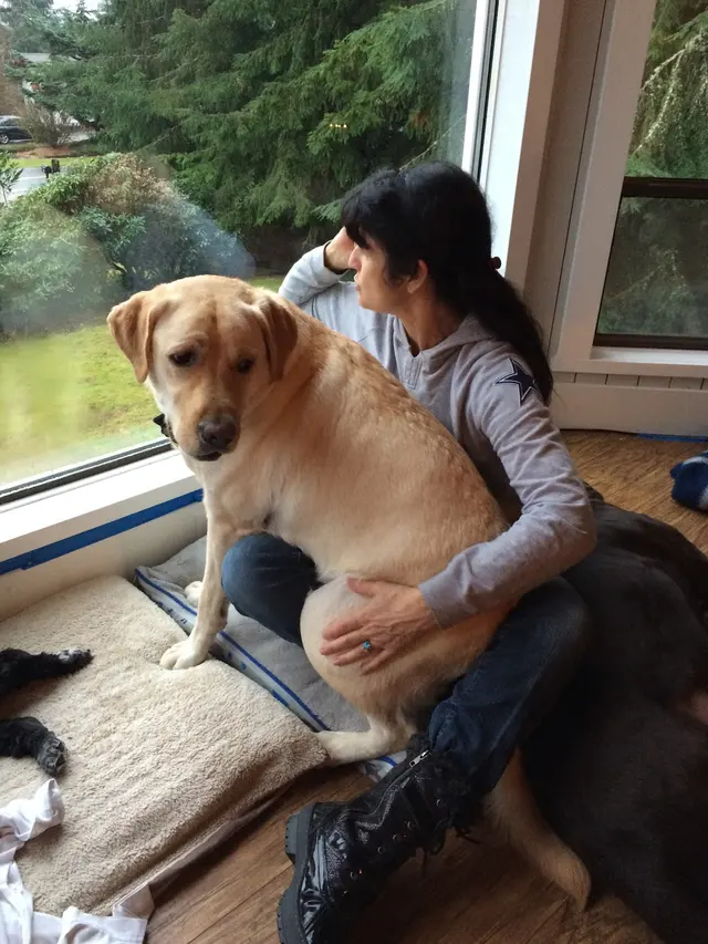 Pet Sitting by Alicia — photo from the business 6