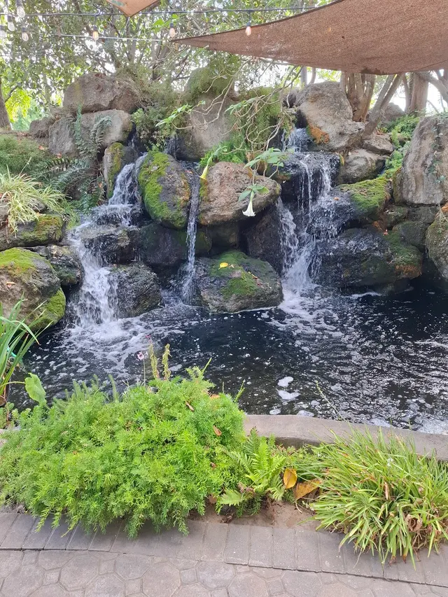 Customer photo of work by Brownstone Gardens, from Victor Gomez's review