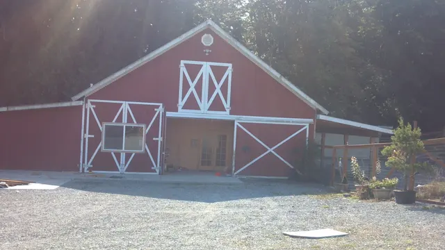 Mountain View Dog Ranch — customer photo 11