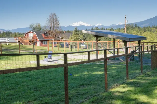 Mountain View Dog Ranch — photo from the business 6