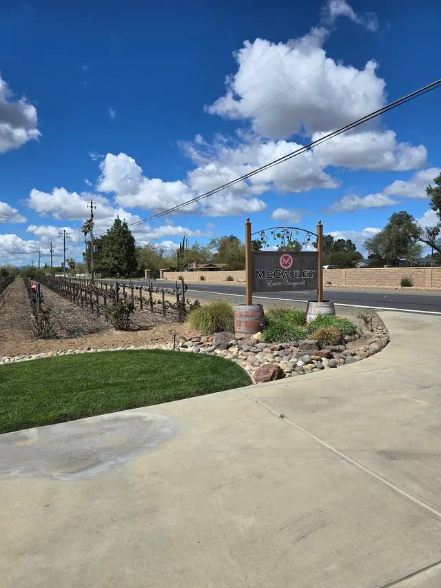 McCauley Estate Vineyards — customer photo 3