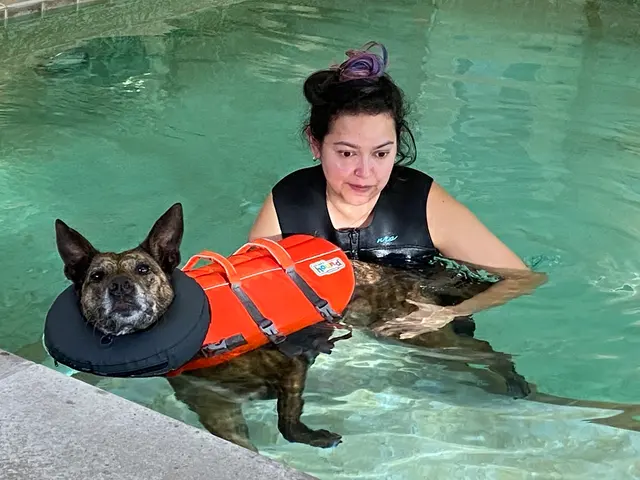 Paradise Pet Lodge — customer photo 10
