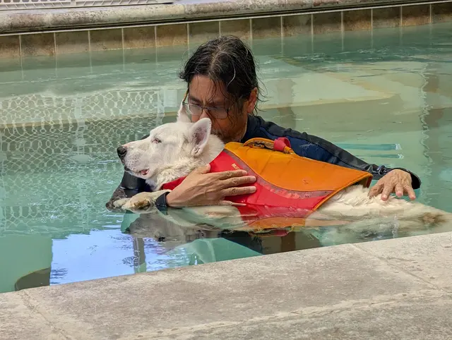 Paradise Pet Lodge — customer photo 4
