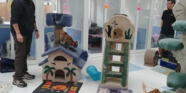 Paradise Pet Lodge — customer photo 6