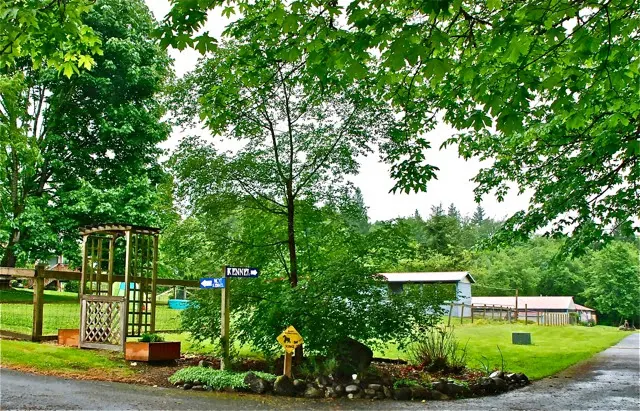 Myownly Boarding Kennel — photo from the business 9