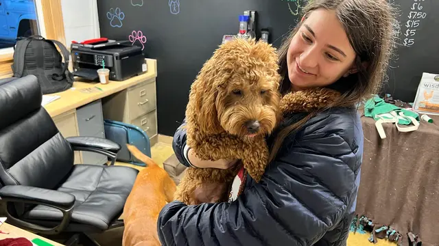 Myownly Boarding Kennel — customer photo 2