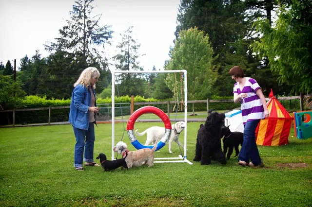 Myownly Boarding Kennel — photo from the business 1