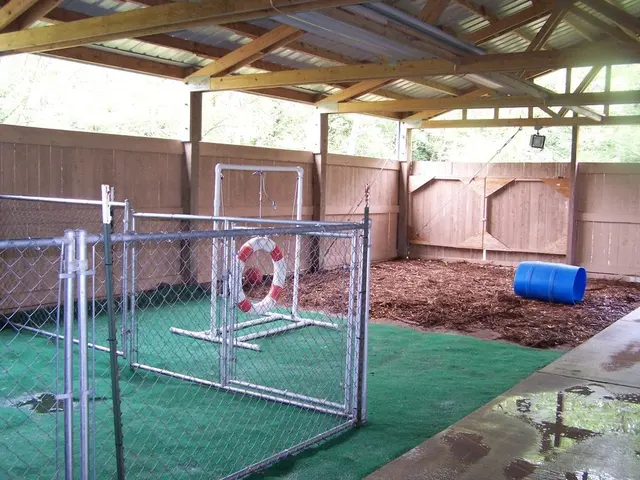 Myownly Boarding Kennel — photo from the business 6