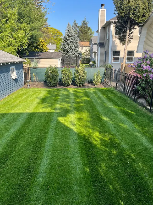 Customer photo of work by JP Landscaping & Snow Services, from bhavna thompson's review