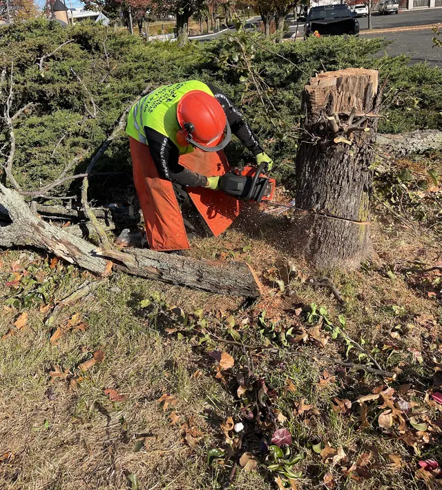 JP Landscaping & Snow Services — photo from the business 7