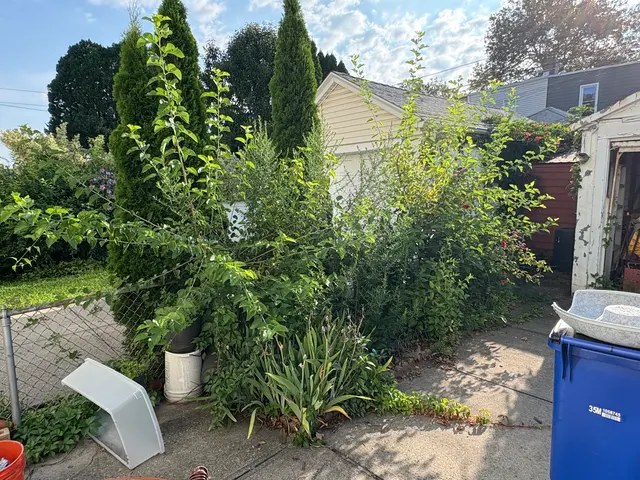 Customer photo of work by Grass-Hoppers Landscaping, from Stanley Tang's review