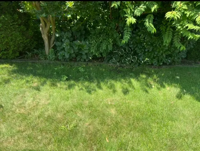 Grass-Hoppers Landscaping — photo from the business 11