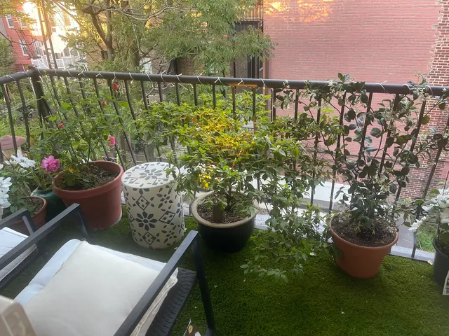 Metropolitan Garden Design — photo from the business 9