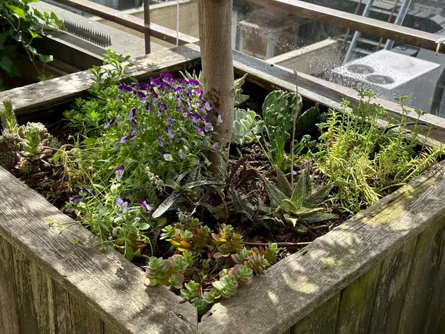 Metropolitan Garden Design — photo from the business 6