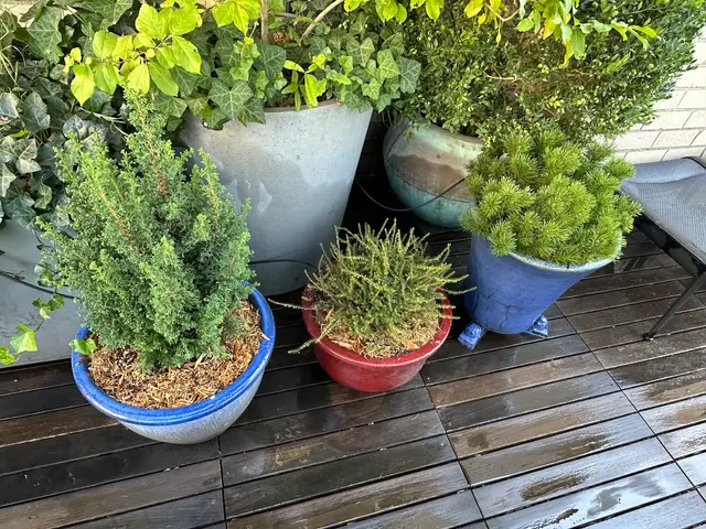 Metropolitan Garden Design — photo from the business 10