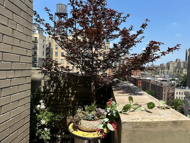 Metropolitan Garden Design — photo from the business 3