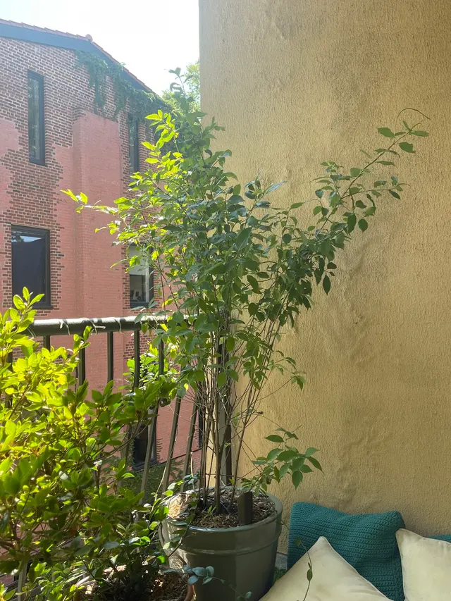 Metropolitan Garden Design — photo from the business 8