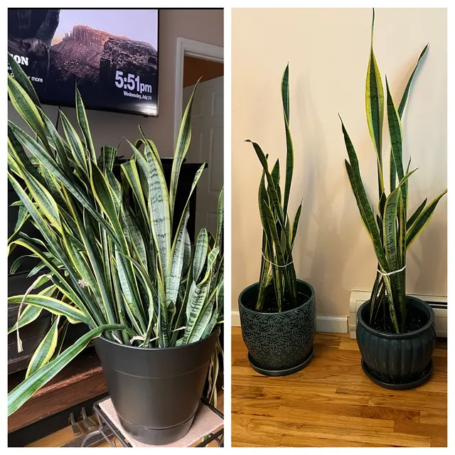 Yard UrbanGreen LLC — photo from the business 6