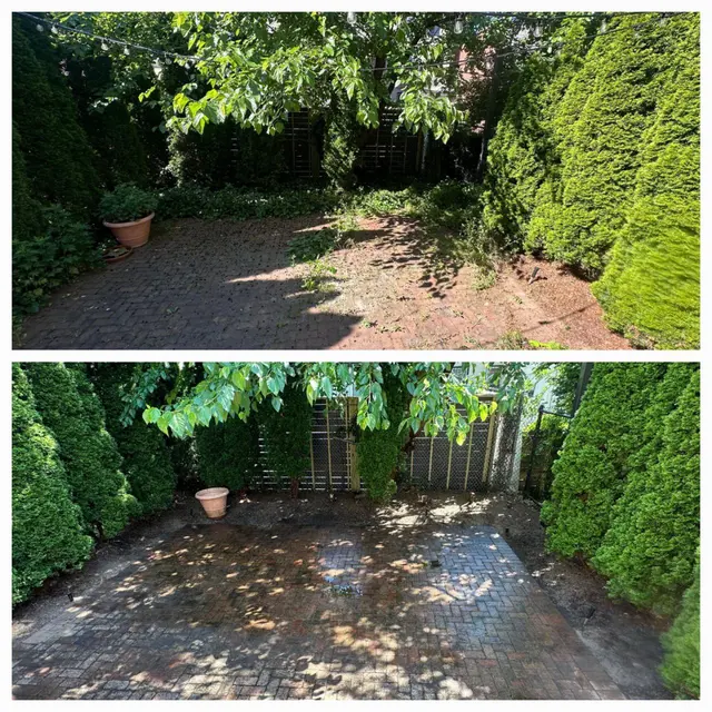 Yard UrbanGreen LLC — photo from the business 5