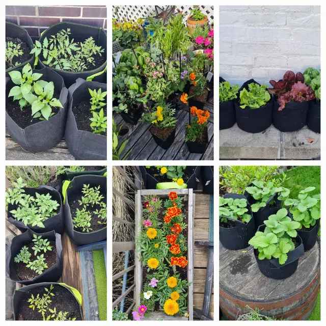 Yard UrbanGreen LLC — photo from the business 8