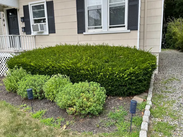 Pete's Lawn Maintenance, LLC — customer photo 5