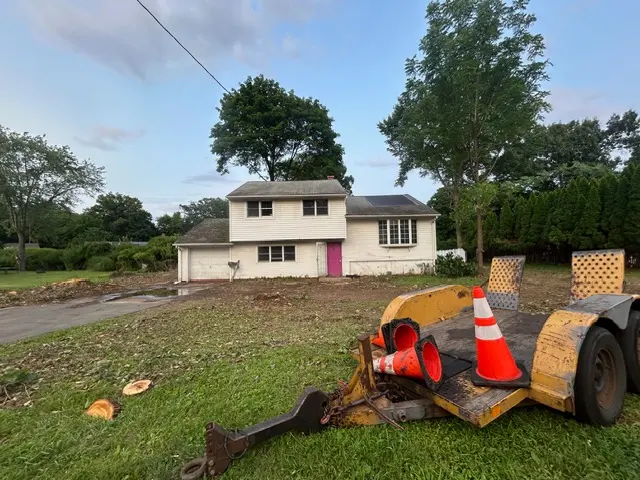 Customer photo of work by O'Sullivan Tree Care and Recycling, from Jamie Bosco Chmura's review