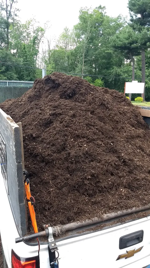 O'Sullivan Tree Care and Recycling — customer photo 12
