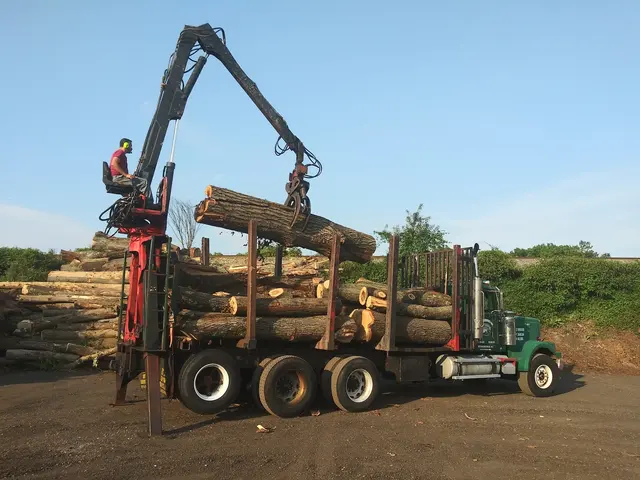 O'Sullivan Tree Care and Recycling — customer photo 4